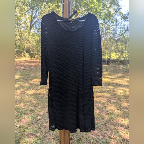 Cal Style Dresses & Skirts - ❤️5/$25  Black Crochet Like Stretch Sheer Sleeves